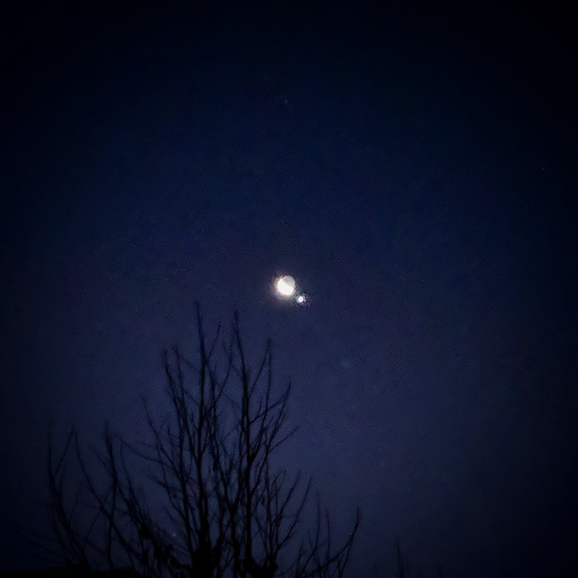 2019年1/2 早朝：月の横に明るい星が！金星らしい