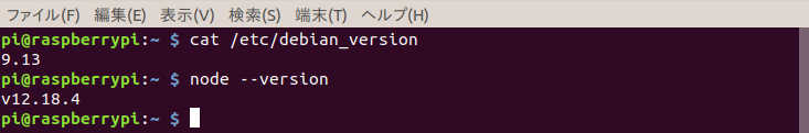 debian_version=9.13, node_version=v12.18.4